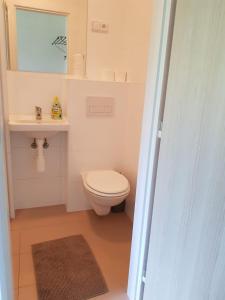 een badkamer met een toilet, een wastafel en een spiegel bij Lávka Chocerady in Chocerady