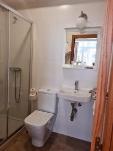 een badkamer met een toilet, een wastafel en een douche bij Hotel Europa in Cambados