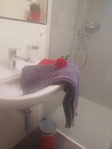 a bathroom with a purple towel on a sink at Billenberghof in St. Gallen