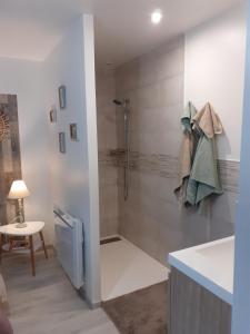 La salle de bains est pourvue d'une douche et d'un lavabo. dans l'établissement Escale en baie., à Pontaubault