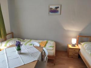 Ein Bett oder Betten in einem Zimmer der Unterkunft Ubytovanie na Frantšachte