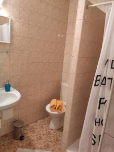 Ein Badezimmer in der Unterkunft Ubytovanie na Frantšachte