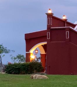 a dog laying in the grass in front of a building at Hacienda Santa Clara, Morelos, Tenango, Jantetelco in Jantetelco