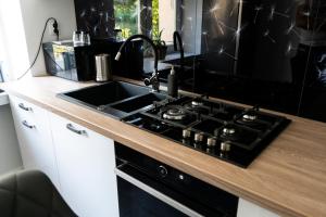 a kitchen with a sink and a stove at Apartament Oliwska Przystań in Gdańsk