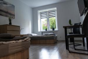 salon z łóżkiem i oknem w obiekcie Apartament Oliwska Przystań w Gdańsku
