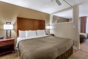 Легло или легла в стая в Richland Inn of Columbia