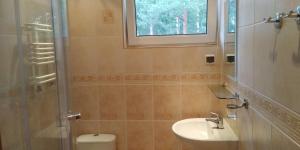 a bathroom with a sink and a toilet and a window at Dom Gościnny Przy Lesie in Pobierowo