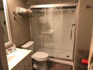 un bagno con doccia, WC e lavandino di Tiki Beach Condo 1 a Campbellsport