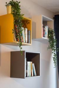 una libreria con libri e una pianta sopra di Light House - Seafront cosy studio with library a Paphos
