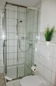 ein Bad mit einer Glasdusche und einem WC in der Unterkunft Rügenurlaub 2 in Garftitz