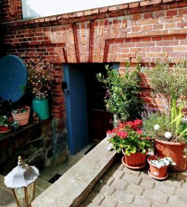 eine Ziegelwand mit Topfpflanzen und einer blauen Tür in der Unterkunft Rügenurlaub 2 in Garftitz