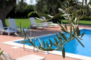 Piscina di Torre Don Virgilio Country Hotel o nelle vicinanze