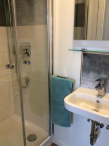 ein Bad mit einem Waschbecken und einer Dusche in der Unterkunft Fewo Eifeler Edelsteine „Aquamarin“ in Schleiden