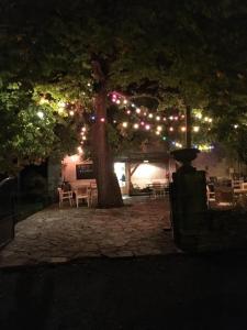 un arbre avec des lumières de Noël sur un patio dans l'établissement Ô MARRONNIER de NADAILLAC, à Nadaillac