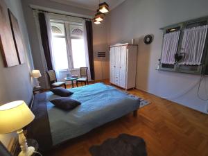 ミシュコルツにあるBelvárosi Vintage Apartman a sétálóutcánのベッドルーム1室(青い毛布付きのベッド1台付)