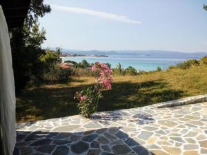 a plant with pink flowers sitting on a stone patio at Dasea Houses in Ormos Panagias