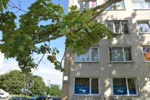 ヴィリニュスにあるSlucko Central Studio Apartment near Riverの前に木々がある白い建物 +20枚の写真