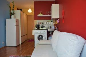 ヴィリニュスにあるSlucko Central Studio Apartment near Riverのキッチン(白い冷蔵庫、洗濯機付)