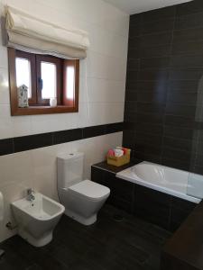 a bathroom with a toilet and a sink and a tub at Encosta do Douro - Rio Douro in Cinfães +50 photos