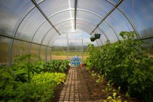 Gallery image of Shannon Breeze Self - Catering in Labbadiha Bridge