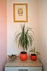 Fotografie z fotogalerie ubytování House Klarin v destinaci Jezera