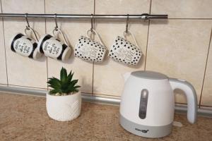 a tea kettle and a plant on a counter at 9th floor Amazing View Central Studio Apartment in Vilnius
