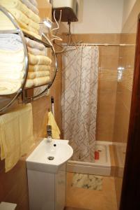 Kúpeľňa v ubytovaní Studio apartmani Toplička bajka