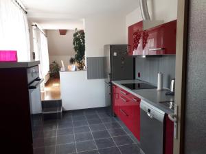 Kuchyňa alebo kuchynka v ubytovaní Apartmán Křtiny