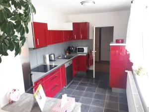 Kuchyňa alebo kuchynka v ubytovaní Apartmán Křtiny