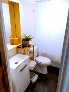 a bathroom with a white toilet and a sink at Casa Acosta in Madrid