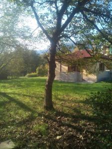 A garden outside Optasia