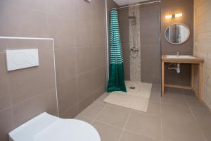 a bathroom with a shower and a toilet and a sink at gîtes à la ferme dela le var in Guillaumes