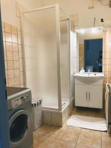 a small bathroom with a washing machine and a sink at Apartman na namesti in Opočno