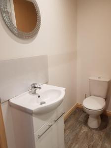 W łazience znajduje się umywalka, toaleta i lustro. w obiekcie Pleasant Point Holiday Cottages w mieście Rosemarkie