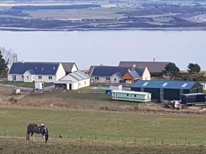a horse grazing in a field in front of houses at Pleasant Point Holiday Cottages in Rosemarkie