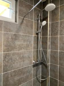 eine Dusche mit Duschkopf im Bad in der Unterkunft Gîte David Jacky in Fortschwihr