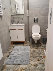 a bathroom with a toilet and a sink at Apartament Aga in Ustrzyki Dolne