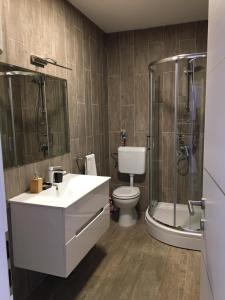 łazienka z toaletą, prysznicem i umywalką w obiekcie Gavran Apartment Vinjerac w mieście Vinjerac