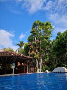 una piscina en un complejo con árboles en el fondo en Hotel Nany, en Brasilito