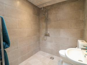 a bathroom with a toilet and a sink at The Hen House in Rugeley