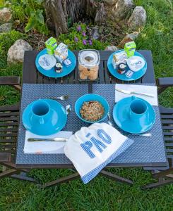 einen Picknicktisch mit blauen Tellern und Essen darauf in der Unterkunft Glamping Turquesa, feel and relax in a wood house in Corredoura