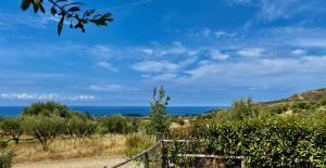 Táj Show holiday homes közelében