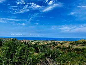 Táj Show holiday homes közelében