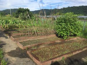 حديقة خارج Tien Chon Xiao Lin Homestay