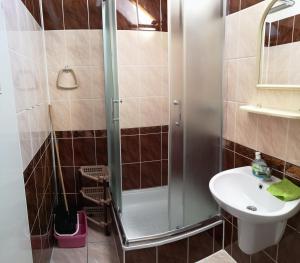 a bathroom with a shower and a sink at Wypoczynek Roda in Pobierowo