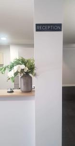 a potted plant on a counter in a room at Port Pirie Accommodation and Apartments in Port Pirie