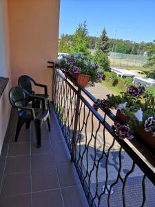 a balcony with a chair and flowers on it at Wypoczynek Roda in Pobierowo