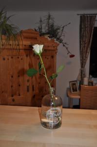 Fotografie z fotogalerie ubytování Apartmenthaus Dornröschen v Ramsau am Dachstein