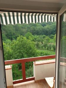 a balcony with a view of a lush green forest at Garsoniera Mihaela in Onești