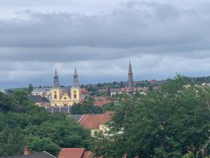 A general view of Eger or a view of the city taken from Az apartmant